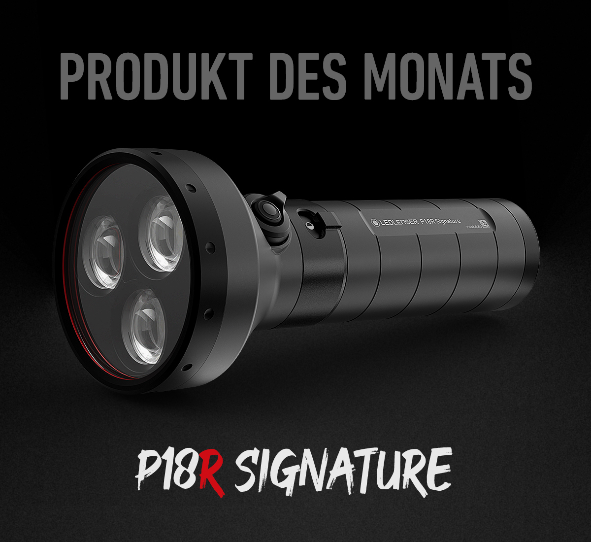 website_startseite_desktop_2025-09-01_produkt-des-monats_P18R-Signature_en