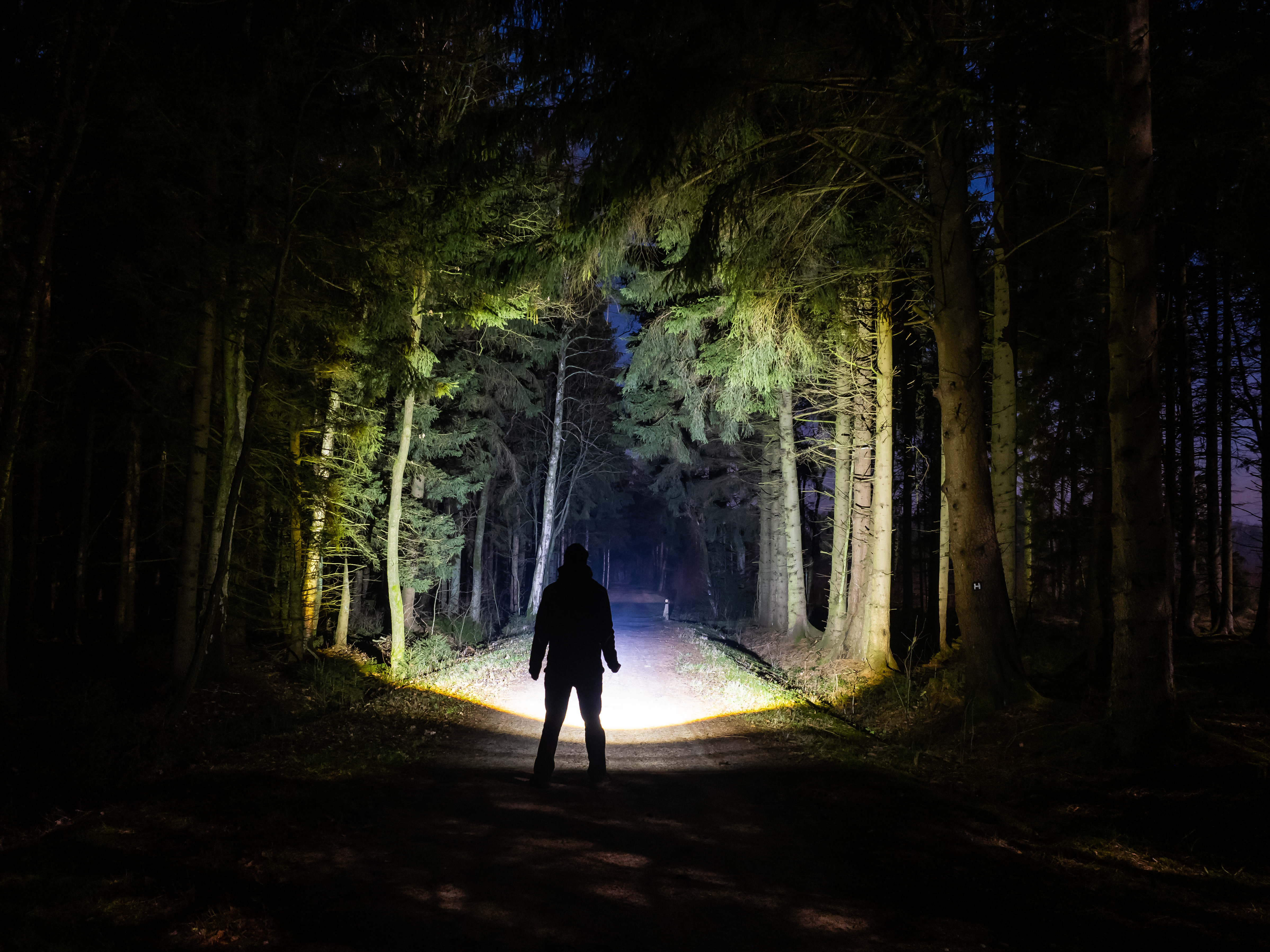 Das Bild zeigt einen Mann im Wald mit sehr heller Taschenlampe