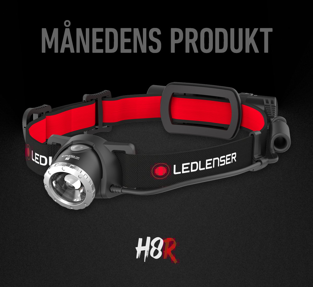 website_startseitengrafik_desktop-tablet_2025-10-01_produkt-des-monats_H8R_en