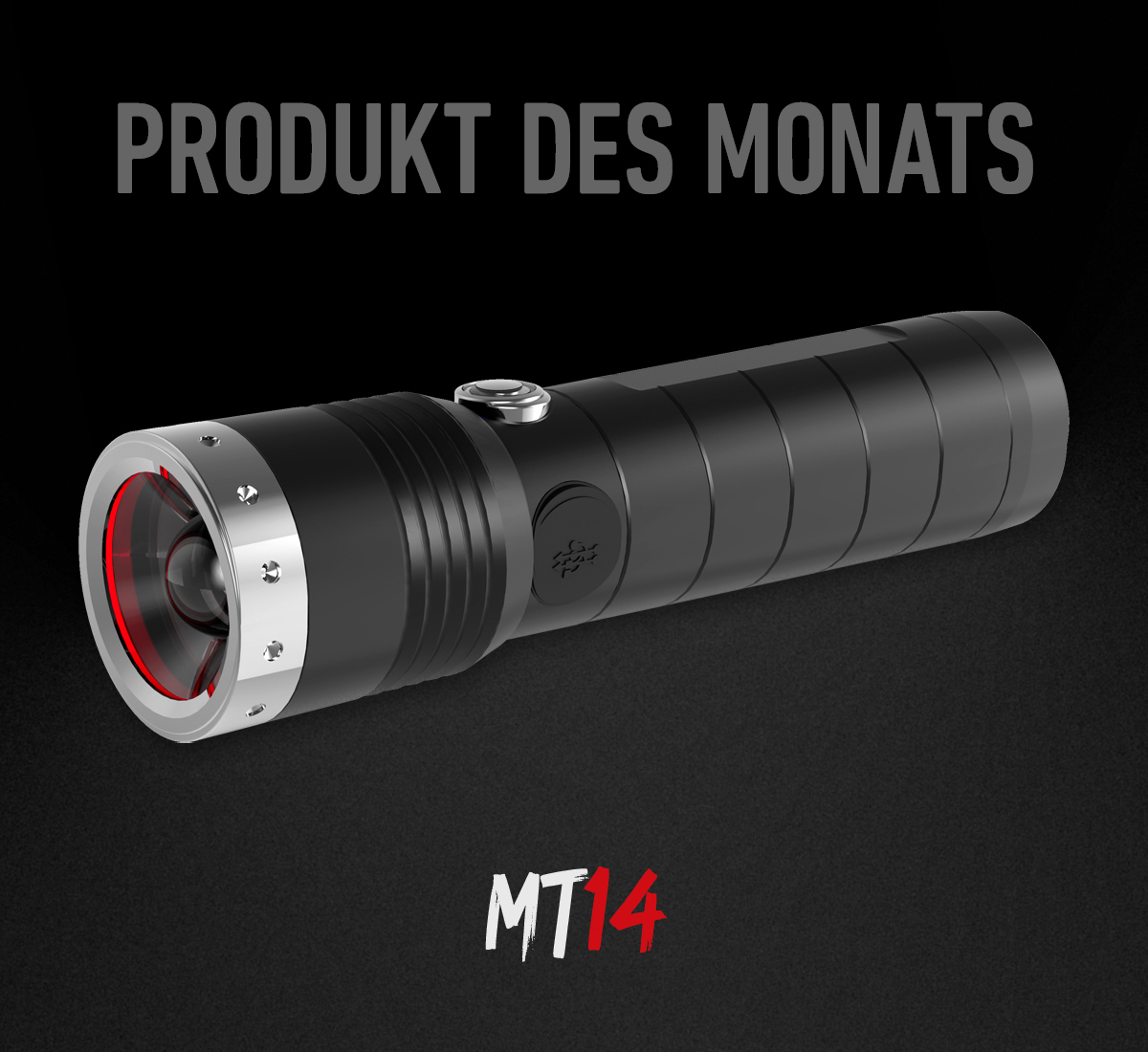 website_startseitengrafik_desktop-tablet_2025-11-01_produkt-des-monats_MT14_de