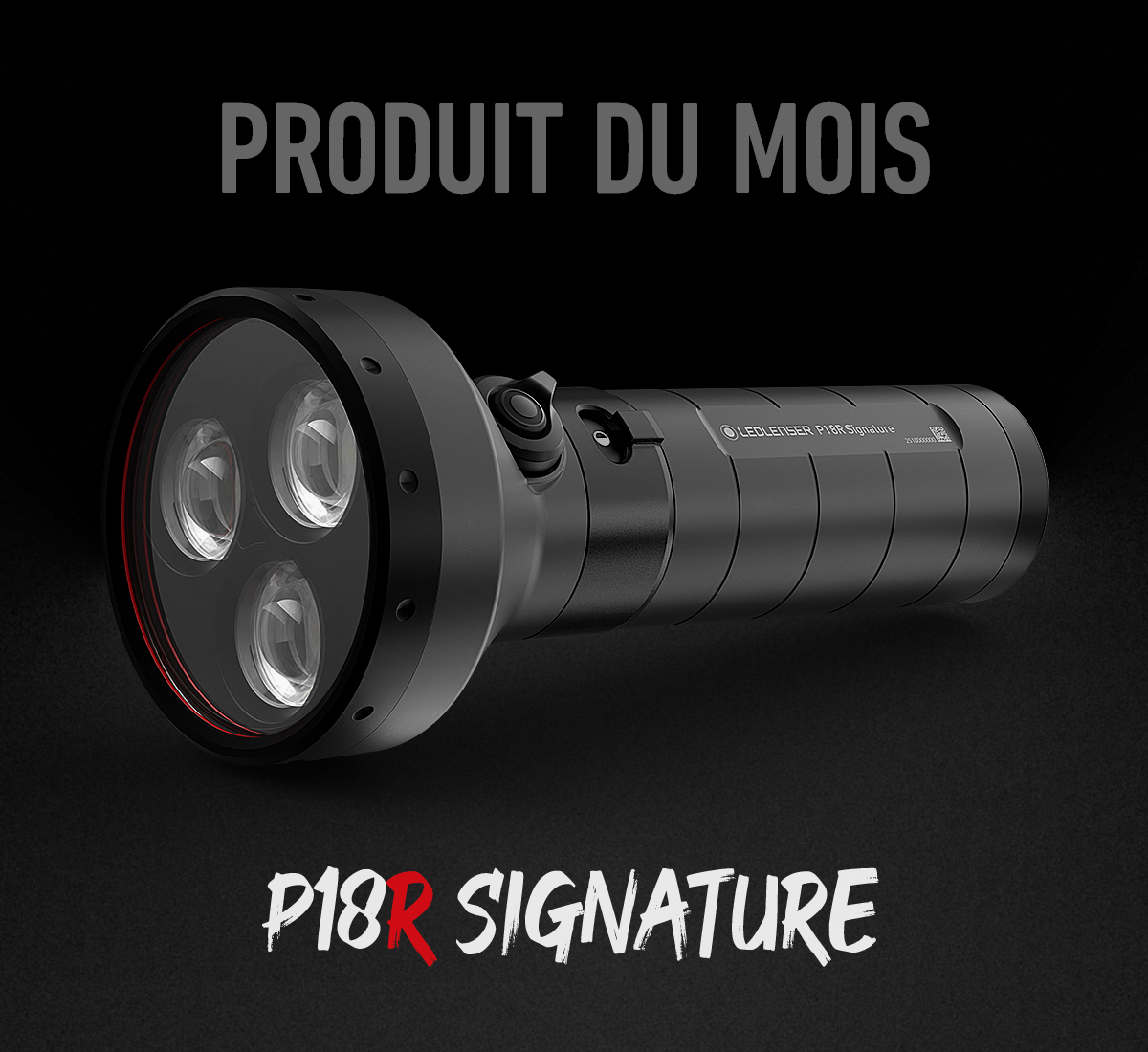 website_startseite_produkt-des-monats_W7R-Work_fr