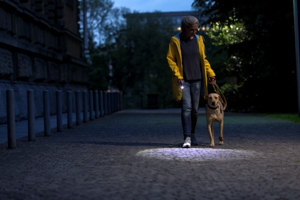 Dog walking