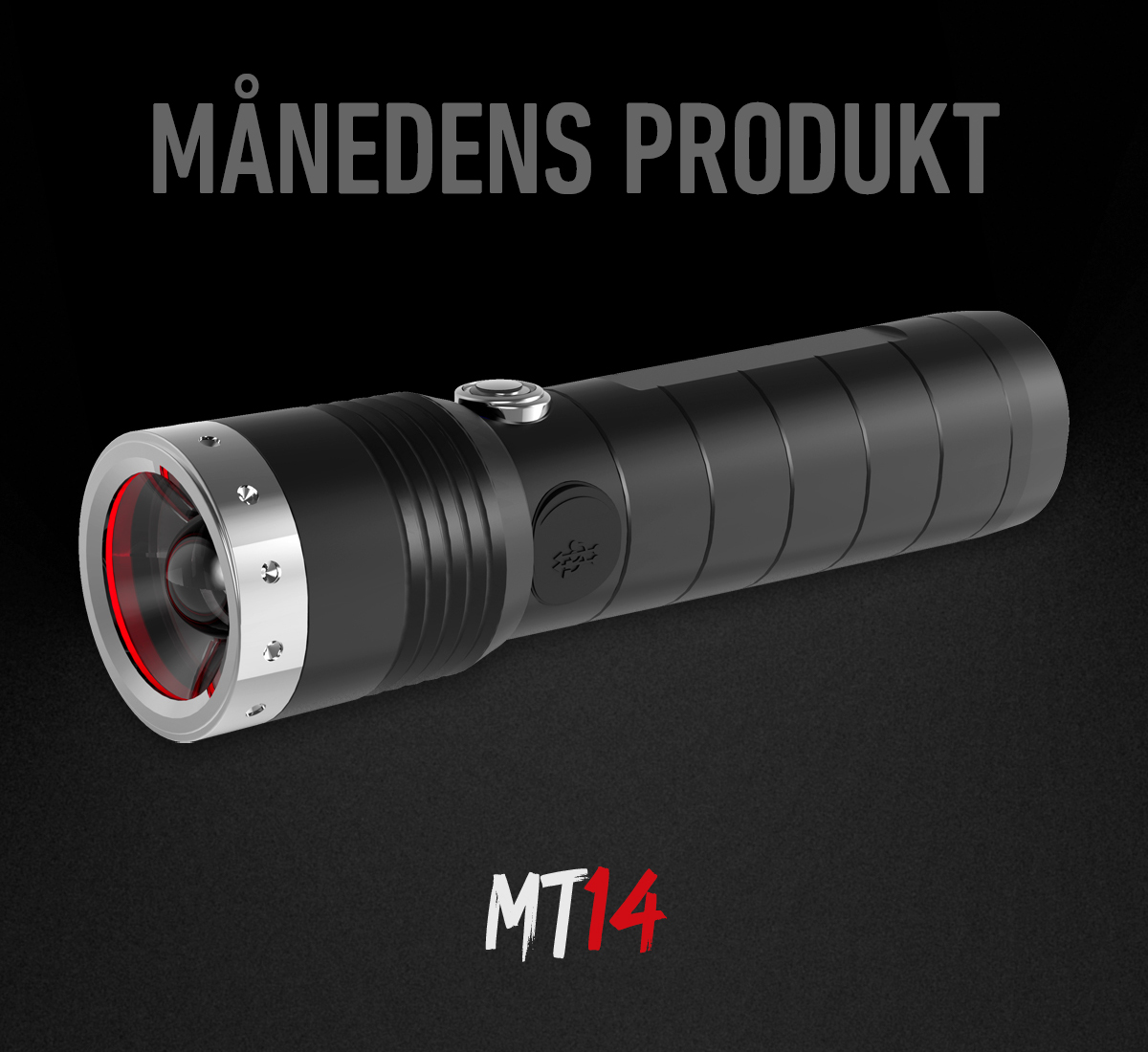 website_startseitengrafik_desktop-tablet_2025-11-01_produkt-des-monats_MT14_dk