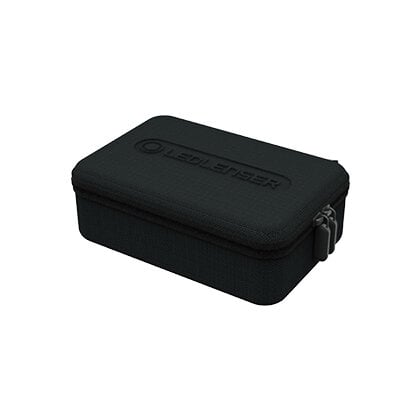 Case Type B Case Type B