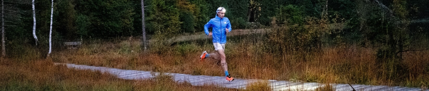 Ein Trailrunner läuft einen Waldweg entlang